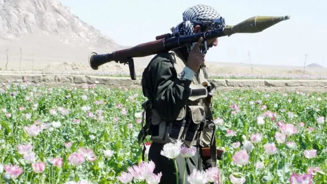 taliban