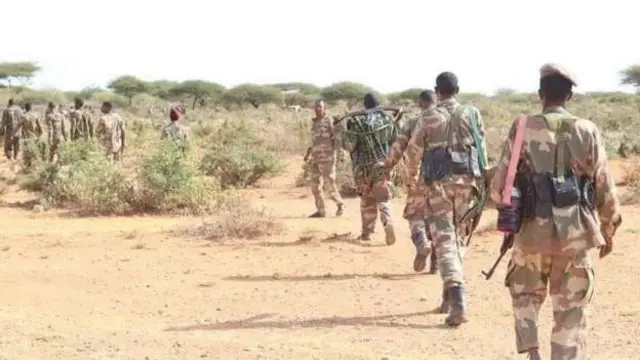 طالبان