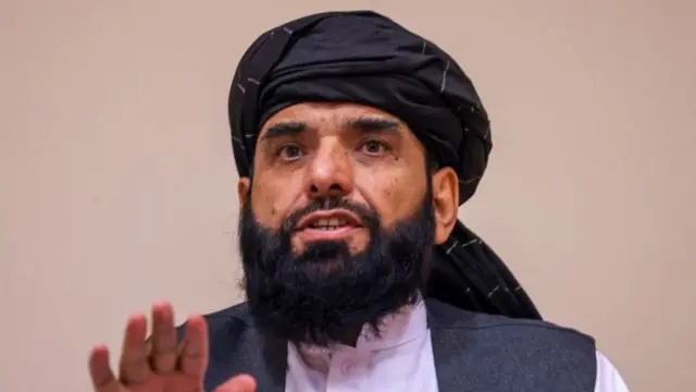 شاهین