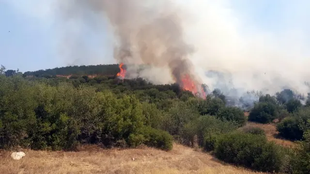 Kula orman yangını