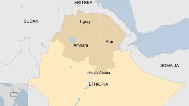 Afhayeenka kooxda TPLF, Getachew Reda, ayaa Midowga Africa ku eedeeyay inay la safteen dowladda Itoobiya.
