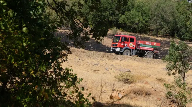 yangın