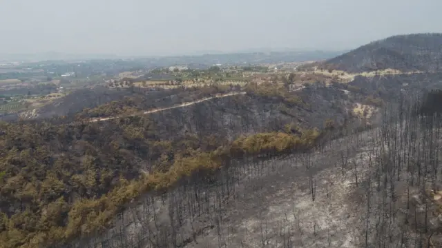 Antalya Büyükşehir Belediyesi