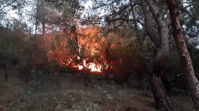 Karabük orman yangını