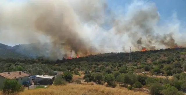 Urla'da yangın