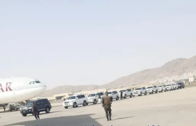 طالبان