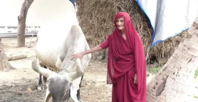 કીર્તિસિંહ વાઘેલાનાં માતા