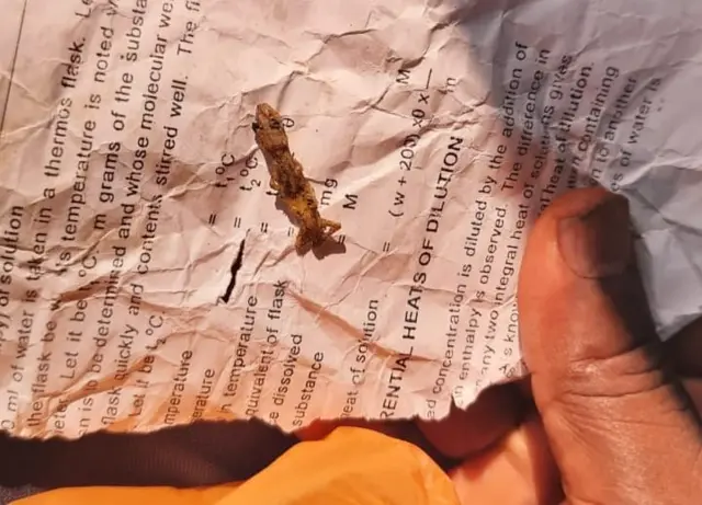 உணவில் கிடந்த பல்லி