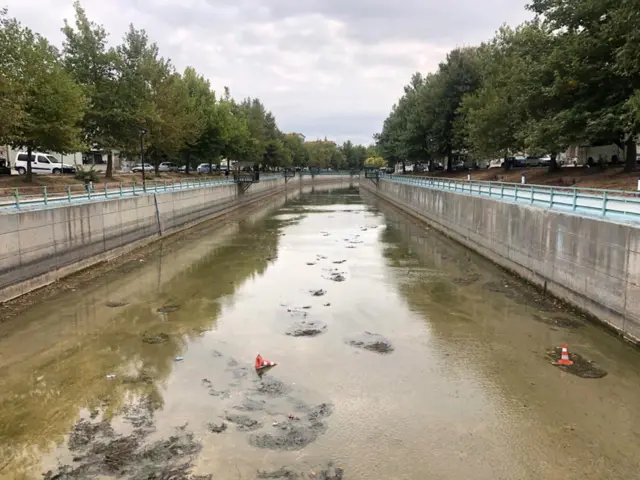 kesilen sazlık alanlar