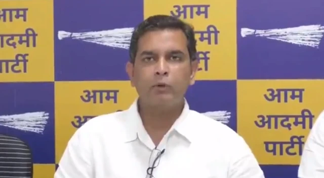 अमित पालेकर