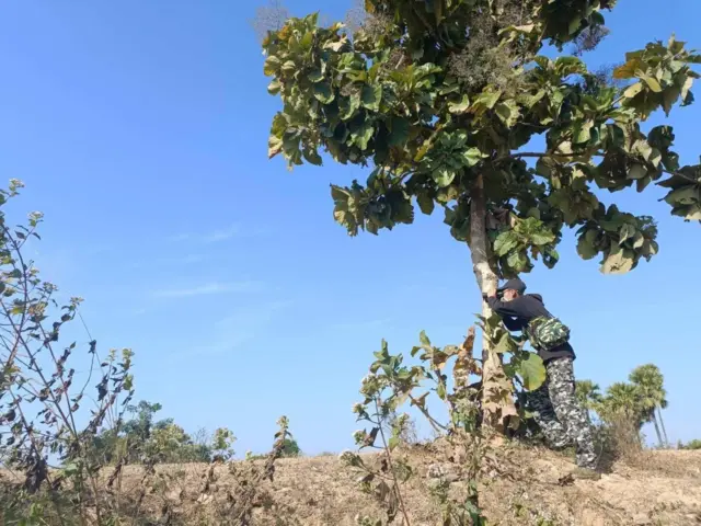 ရေဦးအနောက်ဘက် ပါရမီရွာအနီး စစ်ကောင်စီနဲ့ပြည်သူ့ကာကွယ်ရေးတိုက်ပွဲဖြစ်
