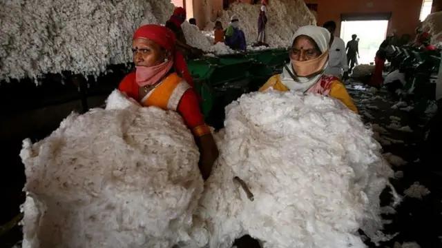 Panjalai