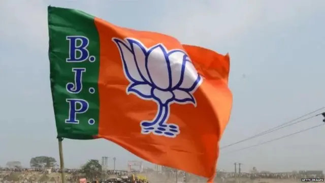 बीजेपी का झंडा