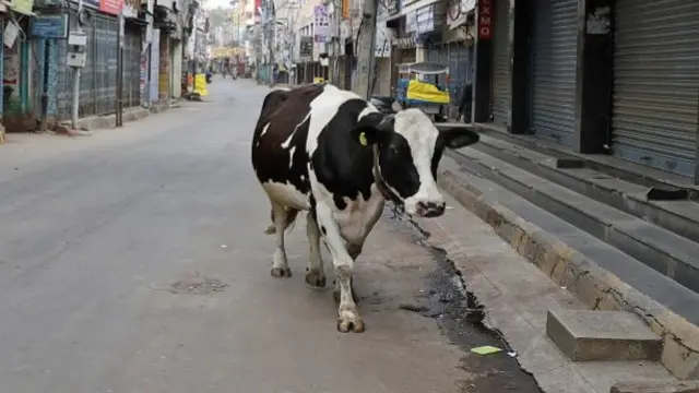 गौशाला