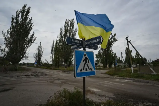 Украинский флаг