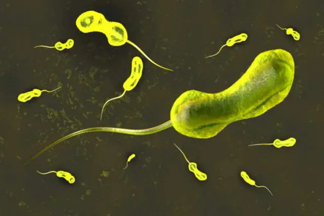 Cholera