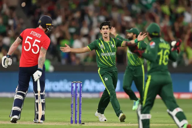 نسیم شاہ