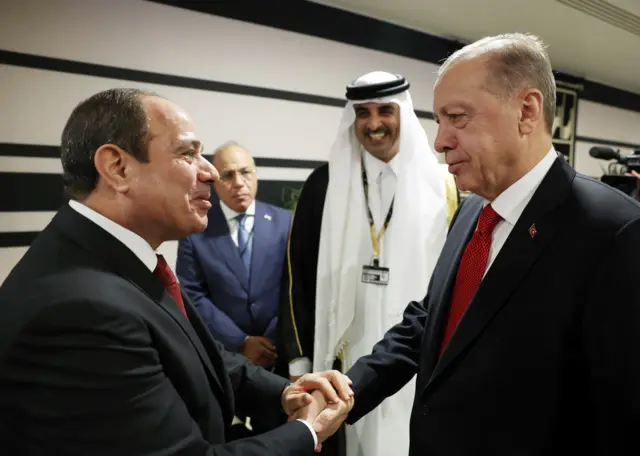 السيسي وأردوغان