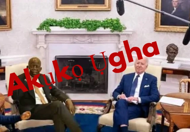 Akụkọ ụgha