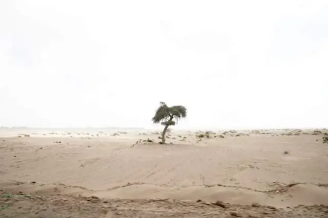 Sahara