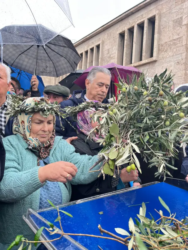 zeytin dallı protesto