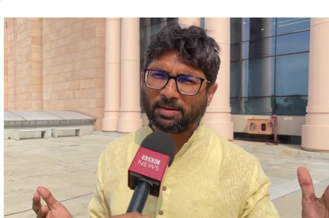 જિગ્નેશ મેવાણી