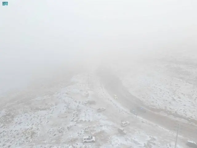 Saudi Snow