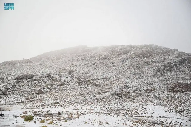 Saudi Snow