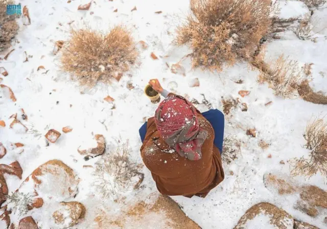Saudi Snow