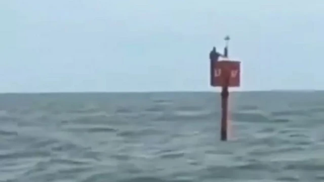 फ्लोटिंग सिग्नल