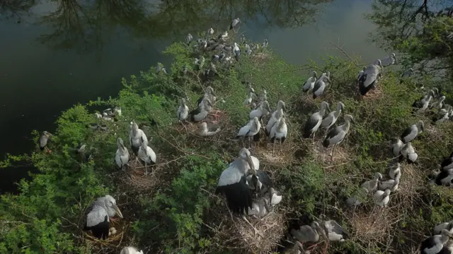 ராமநாதபுரம்