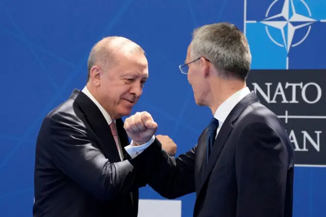 Erdoğan ve Stoltenberg