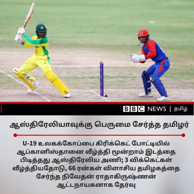 Cricket