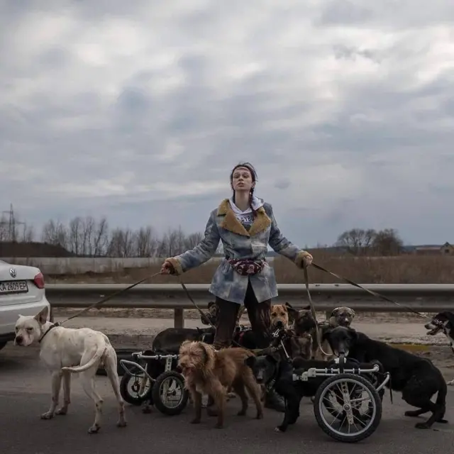 Ірпінь