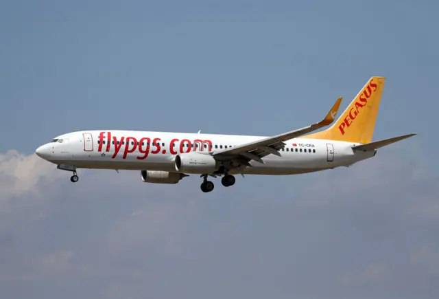 pegasus