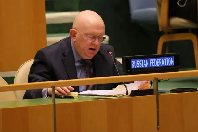 Vasily Nebenzya