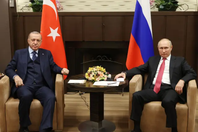 Rusya Devlet Başkanı Vladimir Putin ve Erdoğan