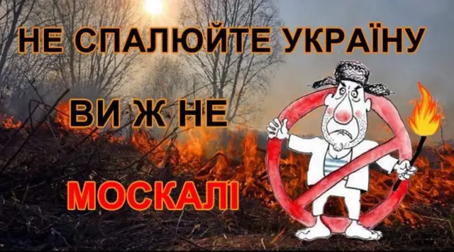 Плакат