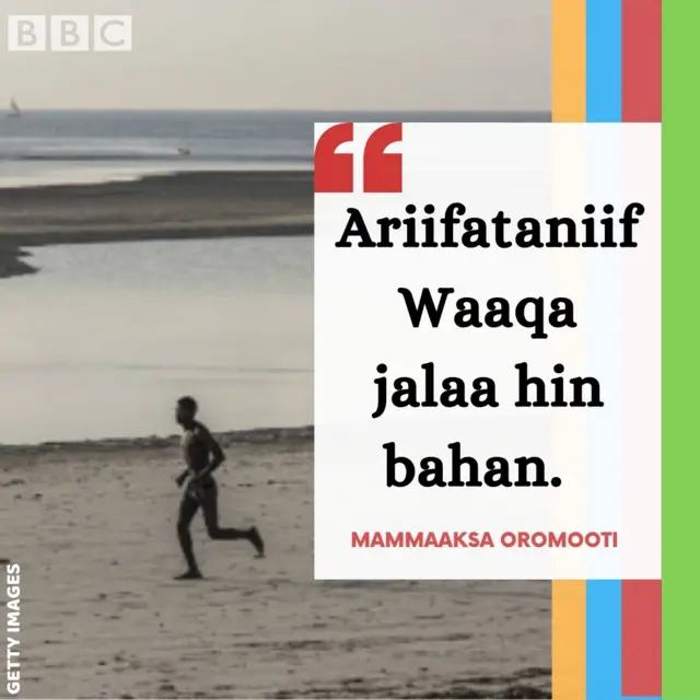 Mammaaksa