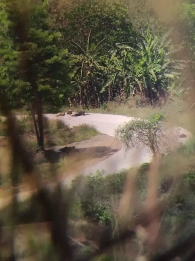 စစ်ကောင်စီ ဘက်ကအယောက်ဆယ်ချီကျဆုံး