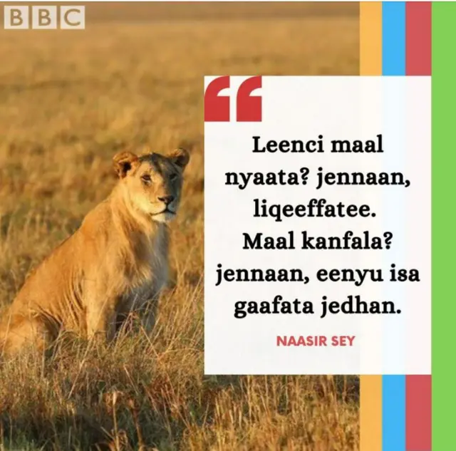 Mammaaksa guyyuu keenya har'aa