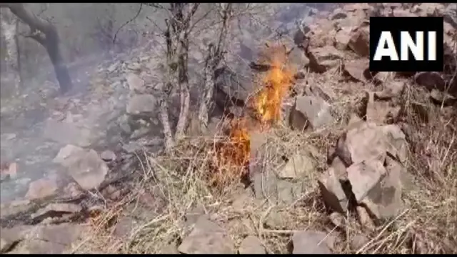 सरिस्का टाइगर रिज़र्व में लगी आग