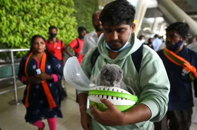 দেশে ফেরা