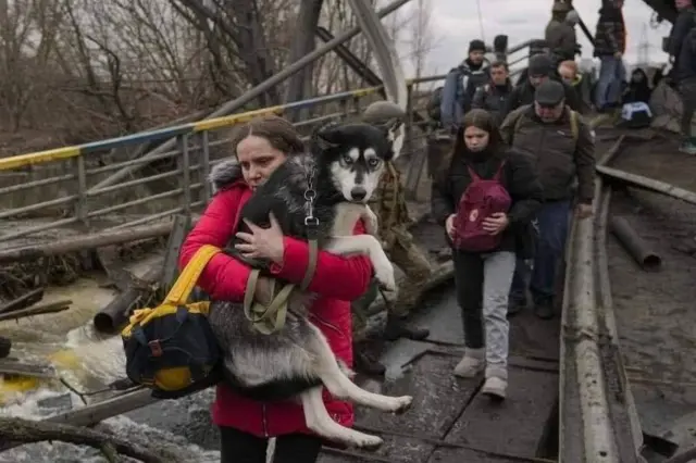 ірпінь