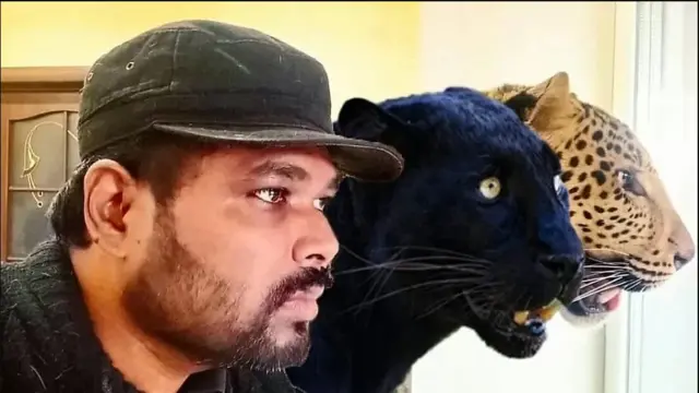 20 నెలల క్రితం గిరికుమార్ పాటిల్ కీయెవ్‌లోని జూ నుంచి జాగ్వర్, బ్లాక్ పాంథర్‌లను తెచ్చుకున్నారు