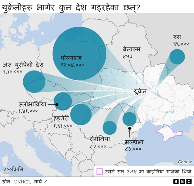 युक्रेनी शरणार्थी