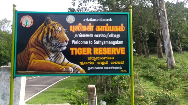 சத்தியமங்கலம் புலிகள் காப்பகம்