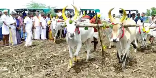விவசாயம்