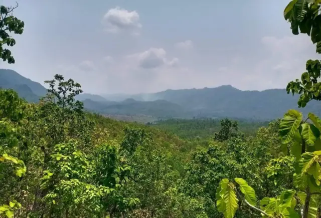 လေးကေ့ကော်