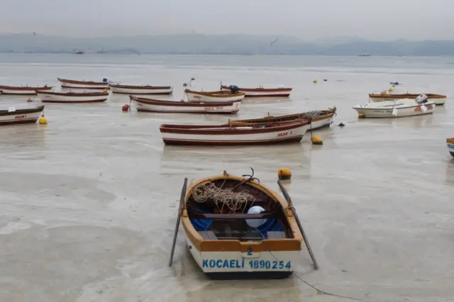 TBMM Müsilaj Sorununu Araştırma Komisyonu'nun raporunda müsilajın kıyı sularında tek başına mikrobiyal riski artırmada herhangi bir rol oynamadığı belirtildi